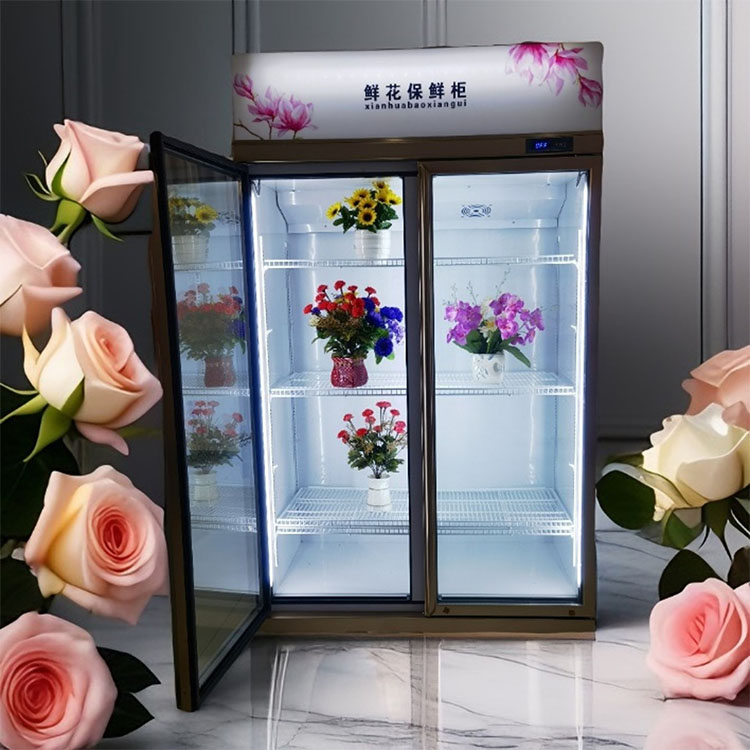 Vitrina Refrigerada para Flore - Refrigerated Display Case reseña y precio
